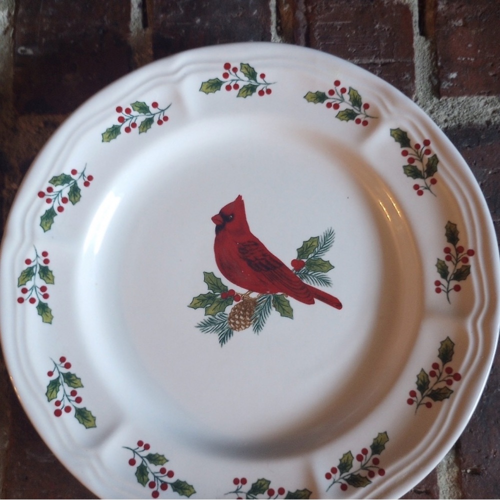 Cardinal Design Salad Plate Set - Picture 7 of 8